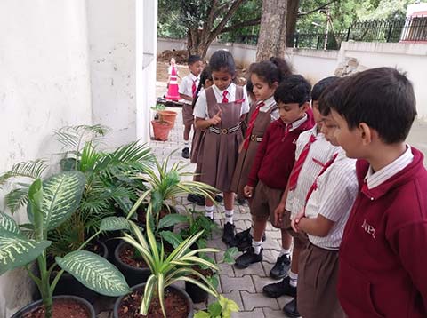 Garden Walk - 2
