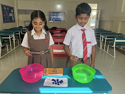 English Activity - 1