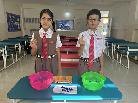 English Activity - 2