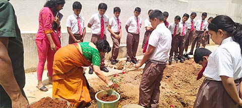 National Red Rose Day