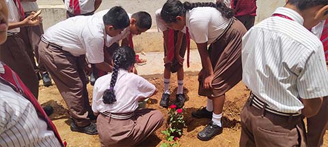 National Red Rose Day