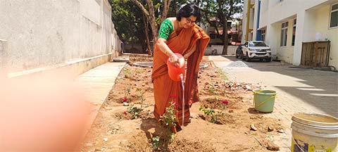 National Red Rose Day