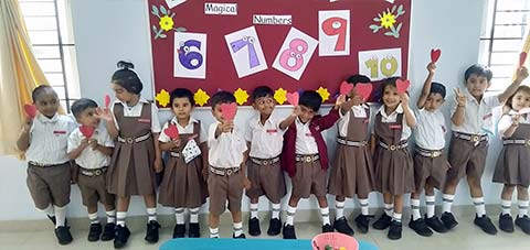 Sorting Activity - 2