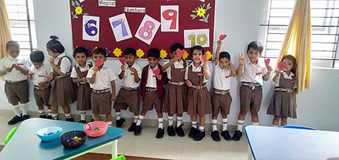 Sorting Activity - 3