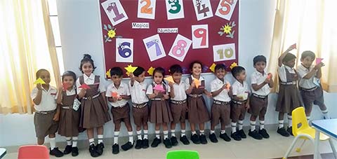 Sorting Activity - 5