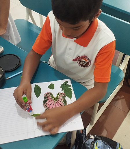 Exploring Types of Leaves