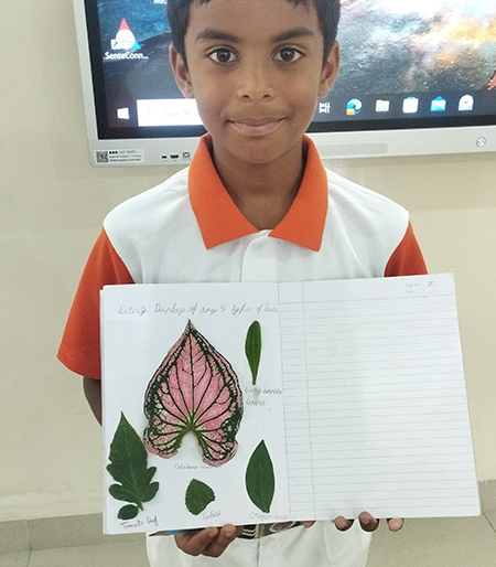 Exploring Types of Leaves