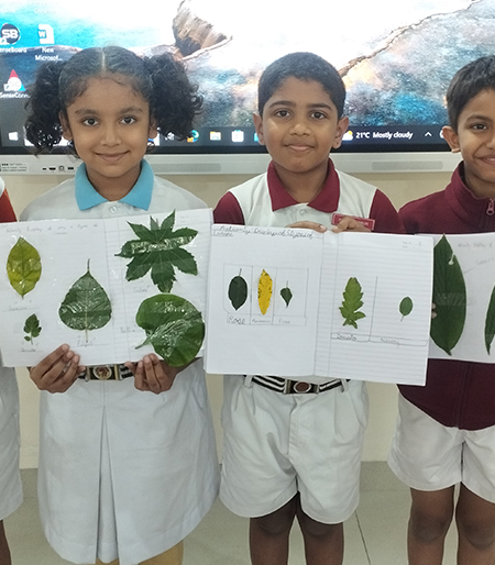 Exploring Types of Leaves