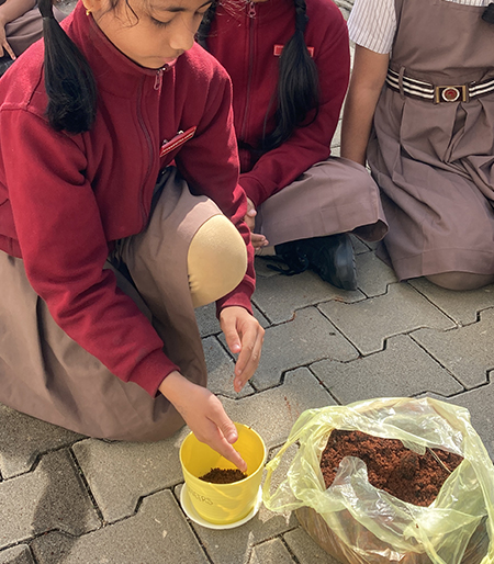 Growing Green Gardening