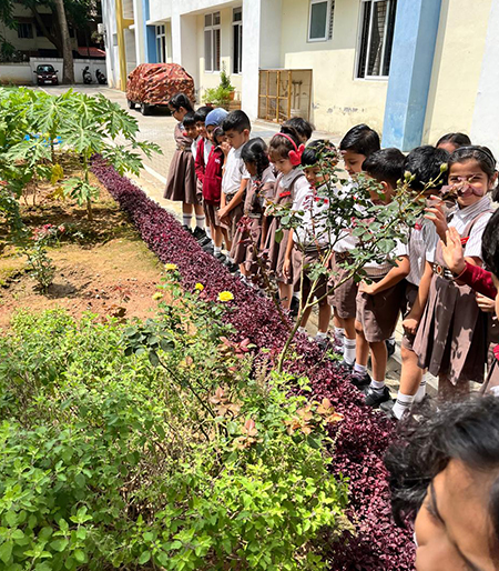 DIY Nature Exploration Project