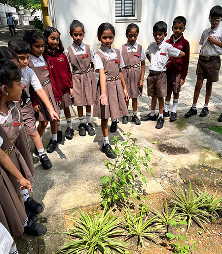 DIY Nature Exploration Project