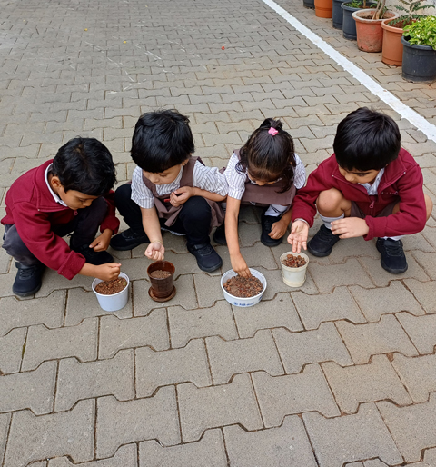 gardening-activity-pre-primary