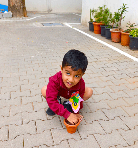 Gardening Activity 