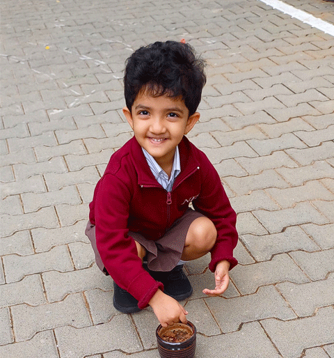 Gardening Activity 