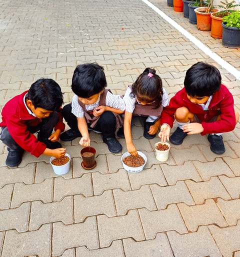 Gardening Activity 