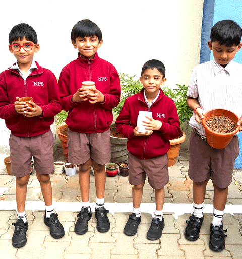 Gardening Activity 
