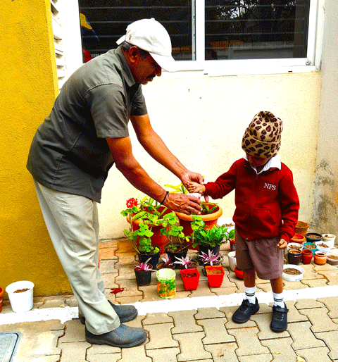 Gardening Activity 