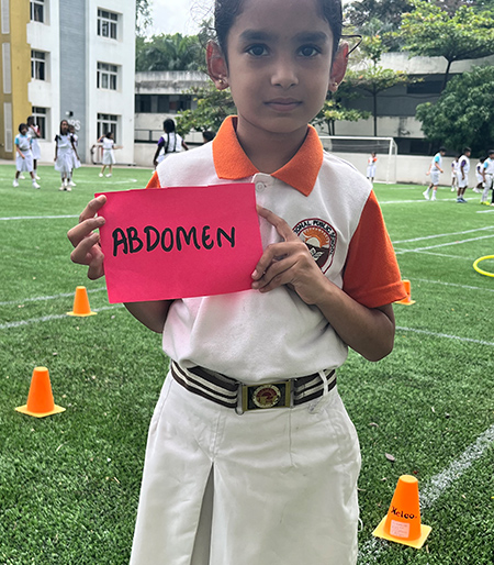 EVS – Sort & Learn