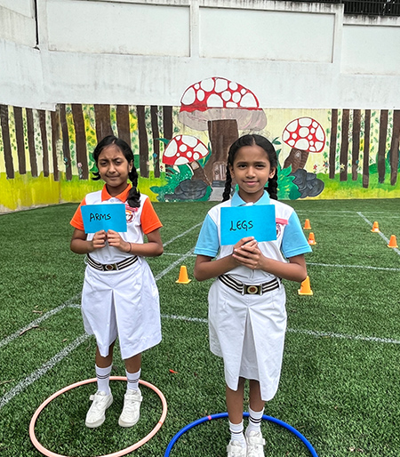 EVS – Sort & Learn