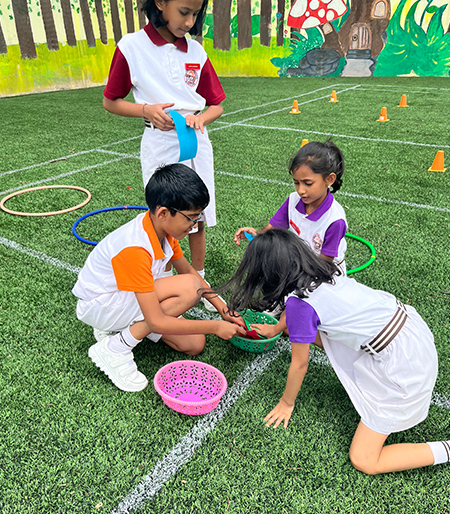 EVS – Sort & Learn