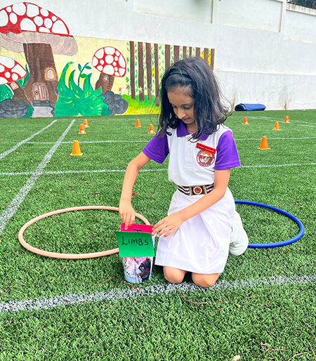 EVS – Sort & Learn