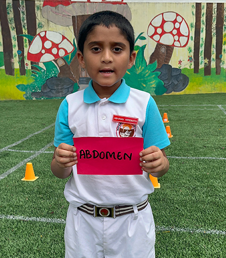 EVS – Sort & Learn