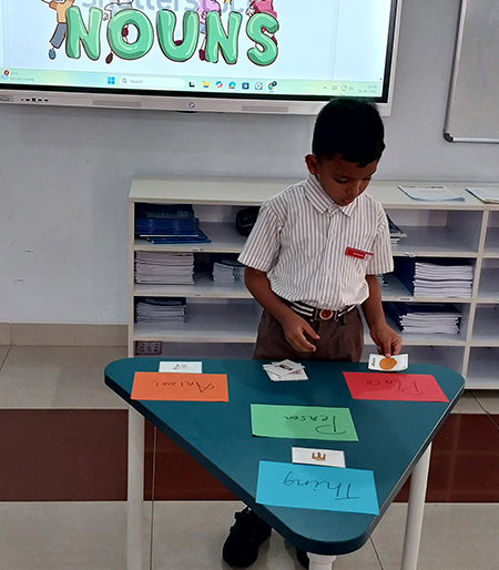 English - Common Noun Sorting