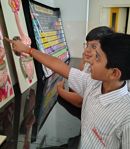 Science Lab The Human Body