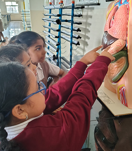 Science Lab The Human Body