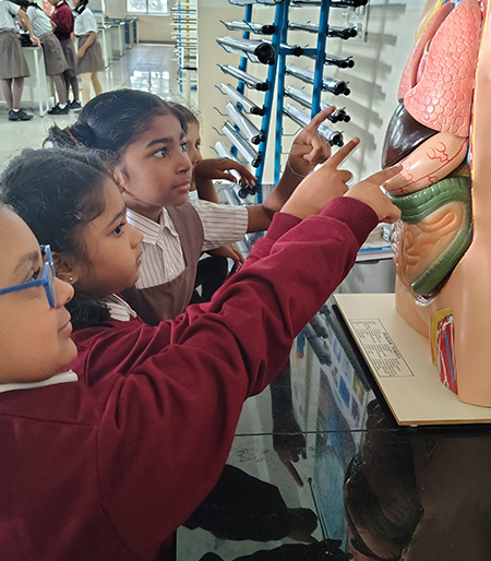 Science Lab The Human Body