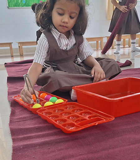 Montessori Set