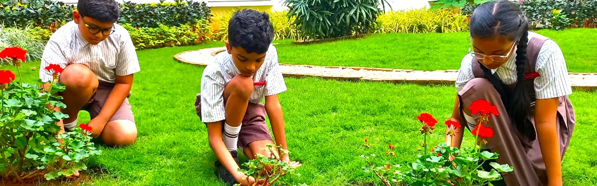 About NPS Sadashivanagar